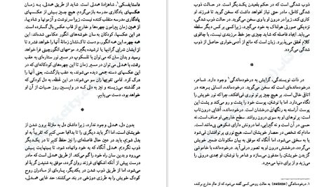 دانلود پی دی اف کتاب نور جهان پیروز سیار PDF