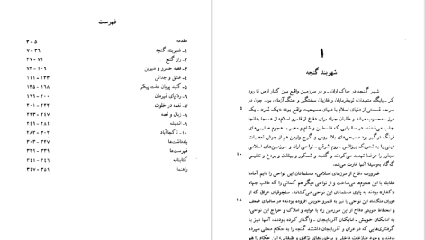 دانلود پی دی اف کتاب پیر گنجه در جستجوی ناکجاآباد عبدالحسین زرین کوب PDF