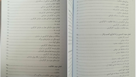 دانلود پی دی اف کتاب کار آفرینی دکتر مژگان حیاتی PDF