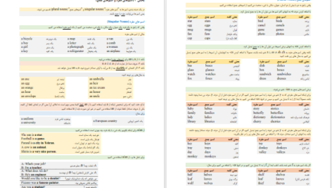 دانلود پی دی اف کتاب گرامر برای ای ال تی اس دیانا هوپکینس PDF