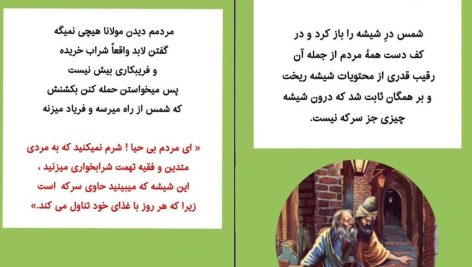 دانلود پی دی اف کتاب حکایت مولانا و شمس محمد حیدرنژاد PDF