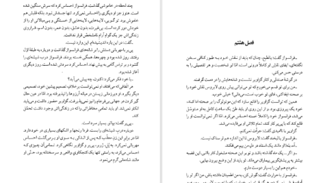 دانلود پی دی اف کتاب ميهمان سیمون دوبووار PDF