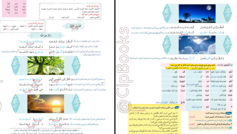 دانلود پی دی اف کتاب زیر ذره بین عربی، زبان قرآن (۱) الهه مسیح خواه PDF