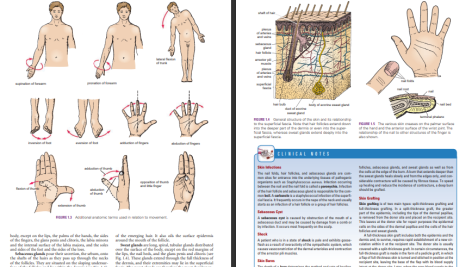 دانلود پی دی اف کتاب آناتومی بالینی ریچارد اسنل ‍PDF