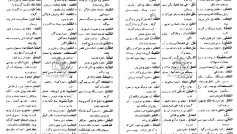 دانلود پی دی اف کتاب فرهنگ دانشگاهی المنجد الابجدی PDF