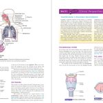 دانلود پی دی اف کتاب ترمینولوژی پزشکی جانسون کوهن PDF