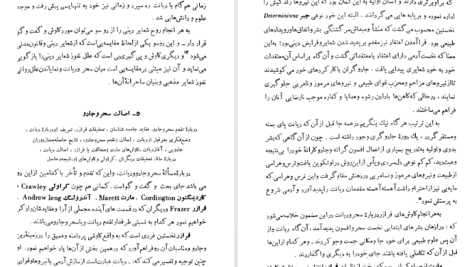 دانلود پی دی اف کتاب تاریخ ادیان جلد ۲ هاشم رضی PDF