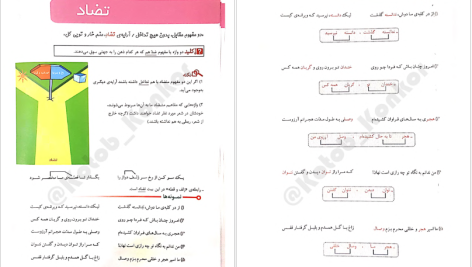 دانلود پی دی اف کتاب آرایه های ادبی کاربردی مصور شاهین شاهین زاد PDF