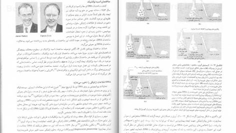 دانلود پی دی اف کتاب اصول بیوشیمی لنینجر نلسون جلد اول PDF