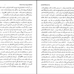 دانلود پی دی اف کتاب تاریخ ادیان جلد ۵ هاشم رضی PDF