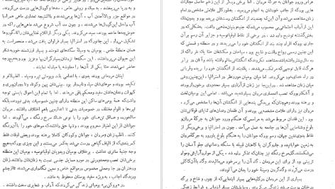 دانلود پی دی اف کتاب تاریخ ادیان جلد ۶ هاشم رضی PDF