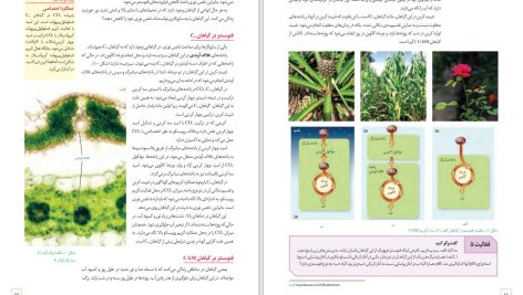 دانلود پی دی اف کتاب زیست شناسی دوازدهم مهدی آرام فر PDF