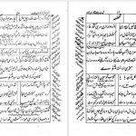 دانلود پی دی اف کتاب شبستان نکات و گلستان لغات یحیی سیبک فتاحی نیشابوریPDF