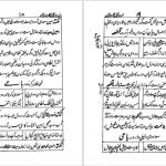 دانلود پی دی اف کتاب شبستان نکات و گلستان لغات یحیی سیبک فتاحی نیشابوریPDF