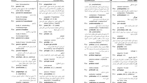 دانلود پی دی اف کتاب فرهنگ واژگان فلسفه رحمان جلینی PDF