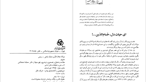 دانلود پی دی اف کتاب متن و شرح مثنوی معنوی مولوی مولانا جلاالدین محمد بلخی جلد هفتم PDF